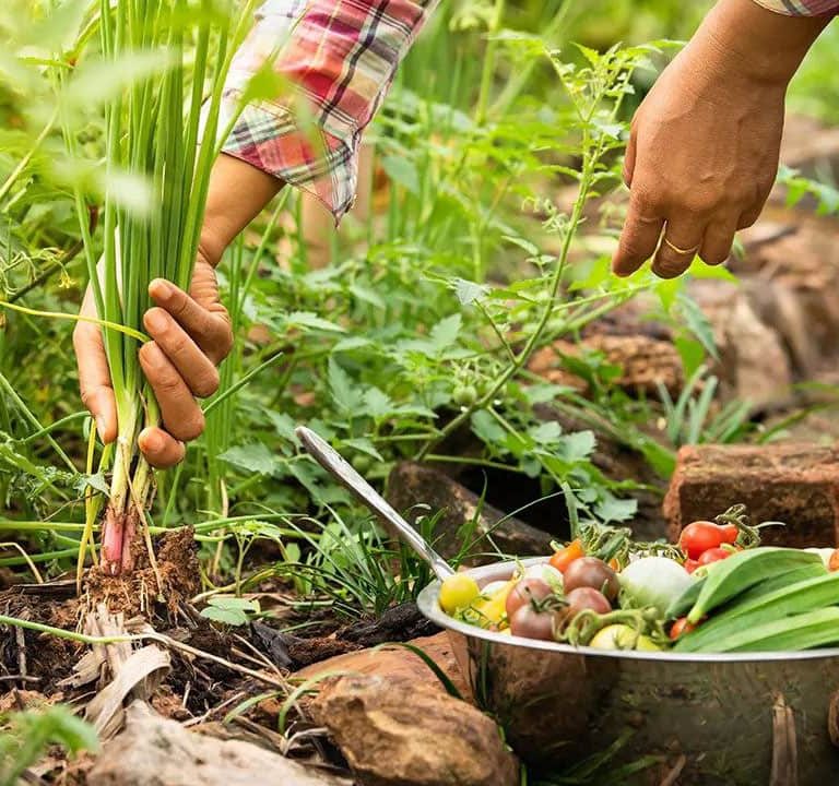 Ecological Farming